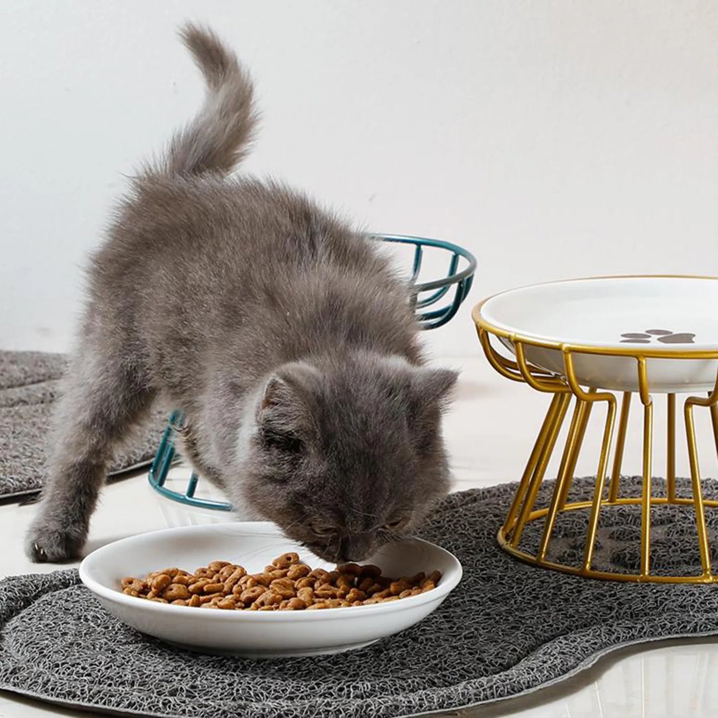 Raised Ceramic Pet Bowl