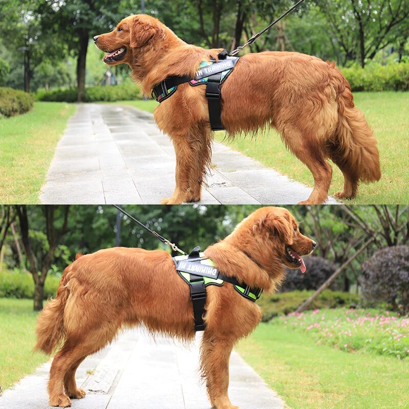 Personalized Reflective Dog Harness with Neck Guard