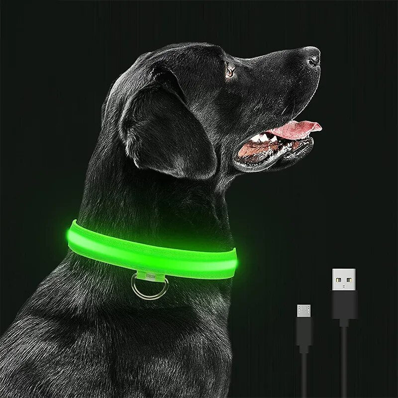 LED Rechargeable Waterproof Dog  Collar