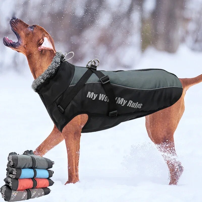 Large Waterproof Winter Coat With Harness and Furry Collar