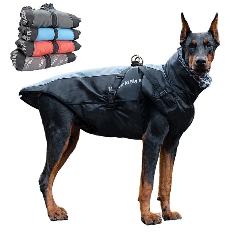 Large Waterproof Winter Coat With Harness and Furry Collar