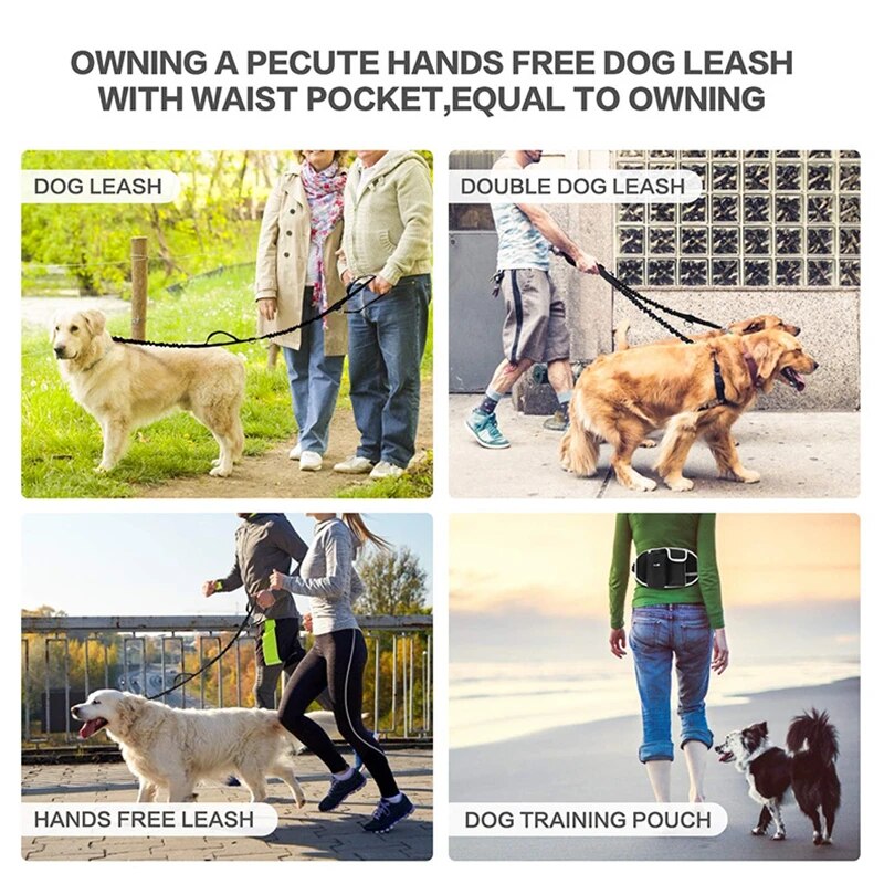 Multi Use Dog Walking Pouch