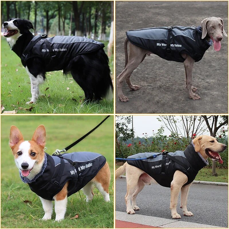 Large Waterproof Winter Coat With Harness and Furry Collar