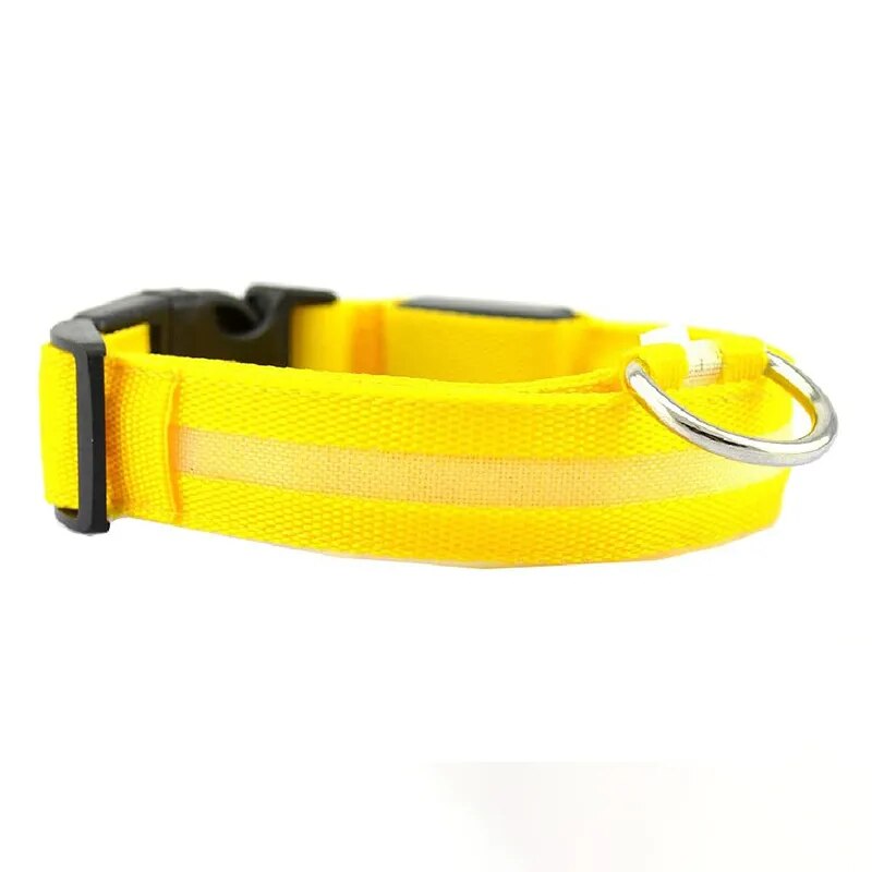 LED Rechargeable Waterproof Dog  Collar